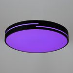 Citilux Купер Лайн CL72470GL1 LED RGB Светильник с пультом Чёрный