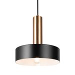 Подвесной светильник Izza FR4008PL-01BBS, E27х1. TM Maytoni
