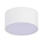ST606.532.12 Светильник потолочный Белый LED 1*12W 3000K 1 080Lm Ra>85 120° IP20 D120xH55 185-265V