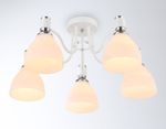 Светильник потолочный TR303305/5 WH/CH/FR белый/хром/белый матовый E27*5 max 60W D600*270