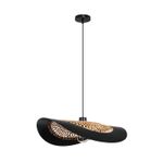 Подвесной светильник Arte Lamp WOODSTOCK A7059SP-1BK, 1хE27