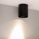 Светильник SP-FOCUS-R132-24W Day4000 (BK, 24 deg, 230V) (Arlight, IP54 Металл, 5 лет)