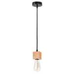 Подвесной светильник Arte Lamp MARK A7048SP-1BK, 1хE27