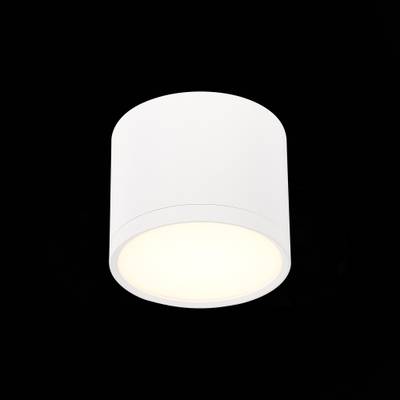 ST113.532.09 Светильник потолочный Белый LED 1*9W 3000K 702Lm Ra&gt;80 120° IP20 D88xH75 170-240V