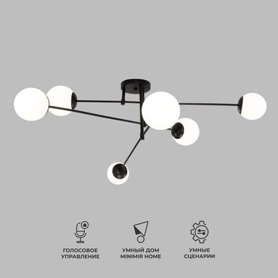 Умный потолочный светильник 30181/6 черный