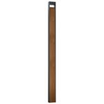 Ландшафтный светильник Arte Lamp ARNEB A2140PA-1BR, 1хLED